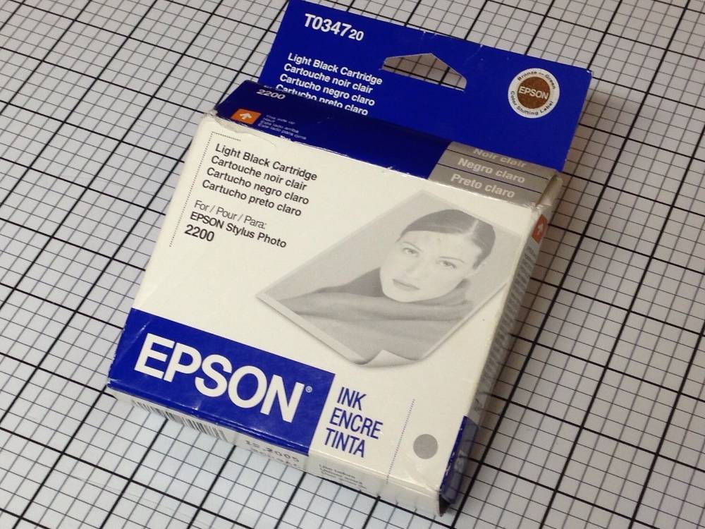 EPSON Ink Cartridge Light Black C13T034720 (Past Expiration Date